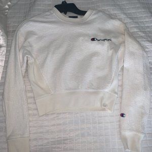 Champion Sweater